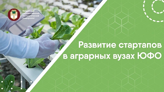 Апшъэрэ еджапIэхэр стартапхэм адэIэпыIэх