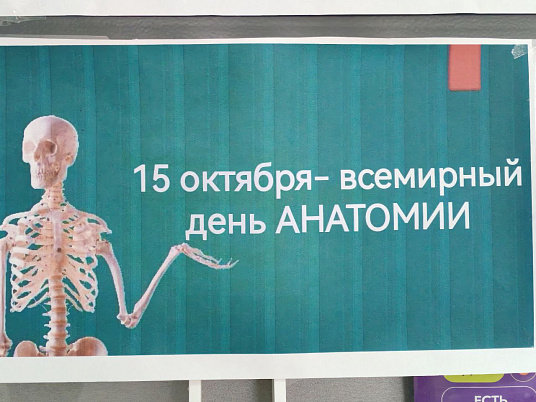 День анатомии