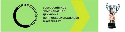 Анна Метелкина - победительница регионального этапа конкурса «Профессионалы‑2026» в компетенции «Электромонтаж»!