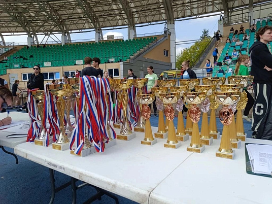 Спорт