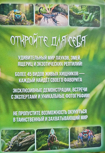 Посещение экзотической выставки